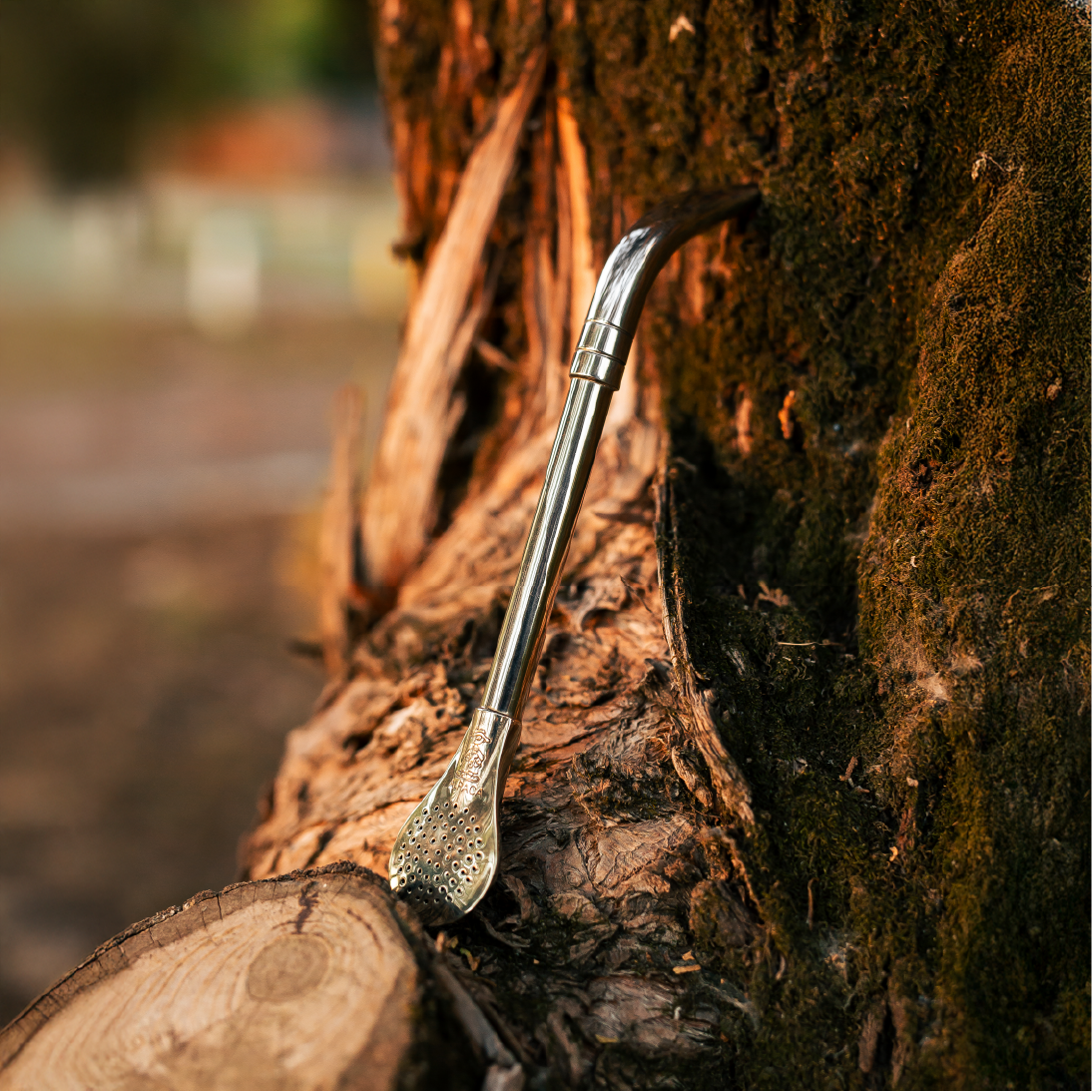 Curved Wide Metal Straw (Bombillon) - Nickel Silver (Alpaca)